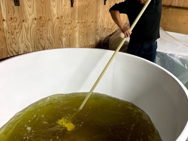 上槽後の酒と櫂入れ