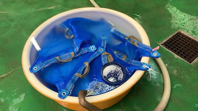 米を浸漬する様子