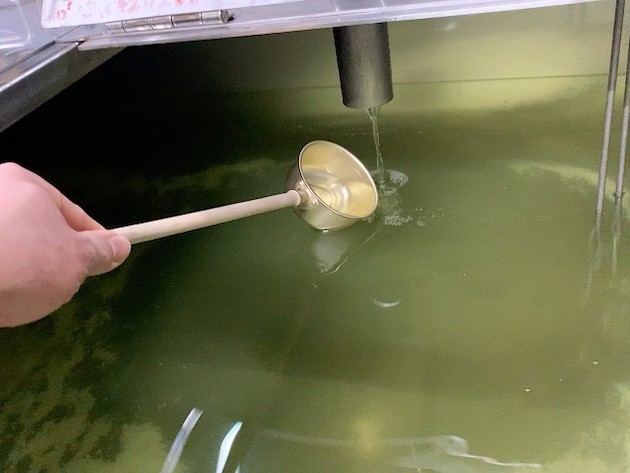 搾っている最中の写真