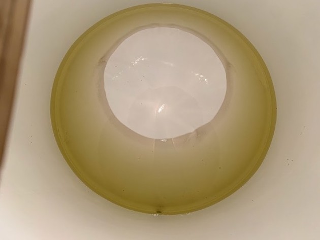 タンクの底の写真