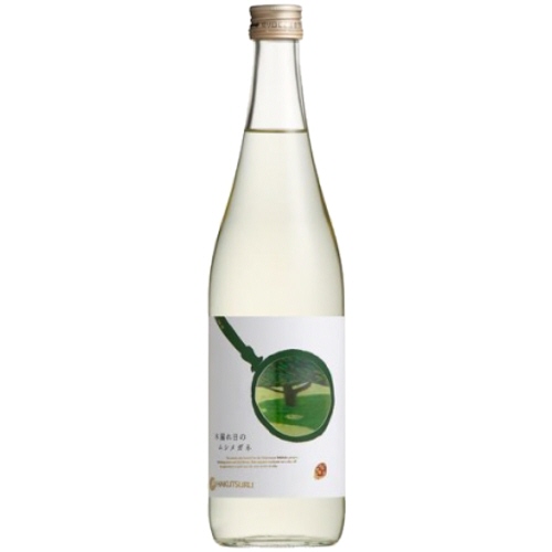 別鶴 木漏れ日のムシメガネ