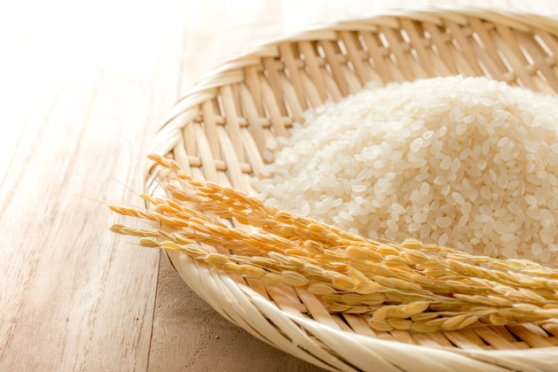 Rice