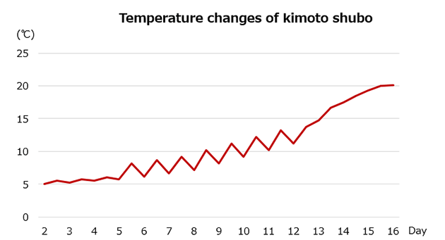 Temperature changes of kimoto shubo