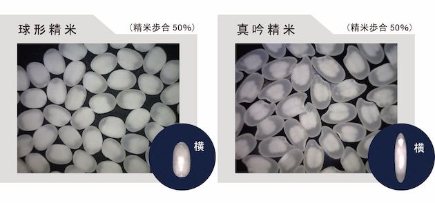 球形と真吟の、形状の違い