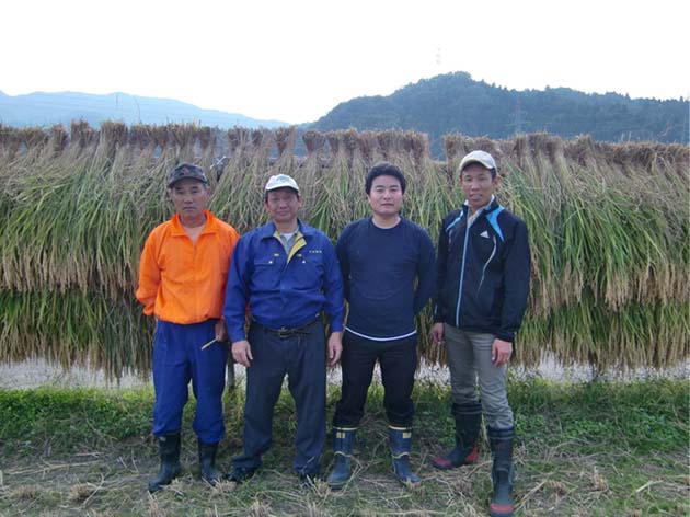 収穫した稲と収穫者