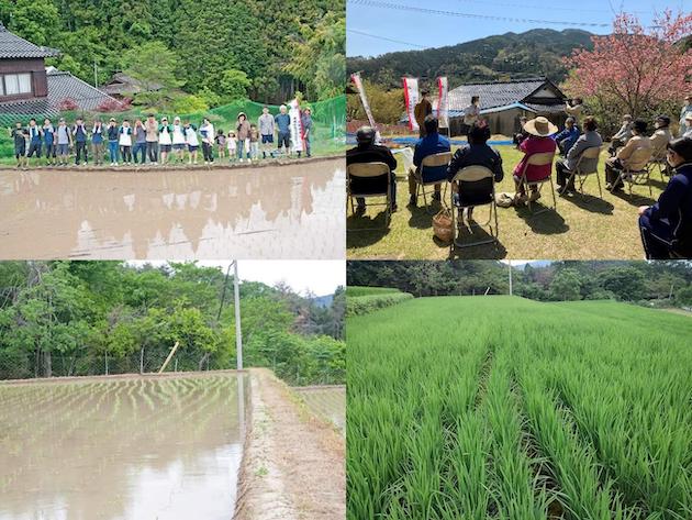 可部の水田写真4枚