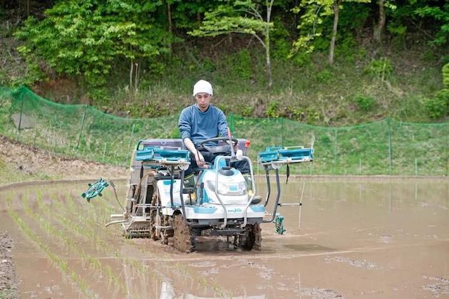 水田でトラクターを操作する濵村洋平さん