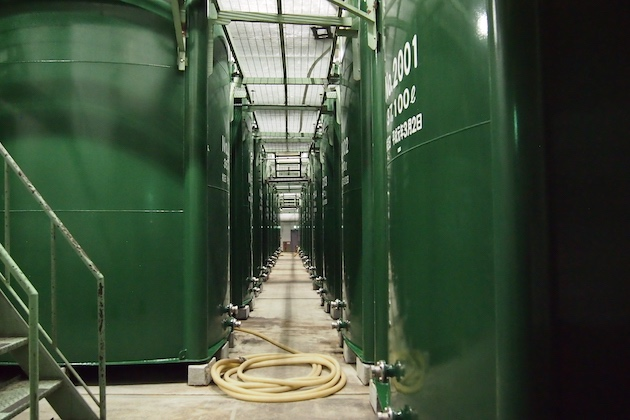 Storage tanks at Kenbishi Sake Brewery