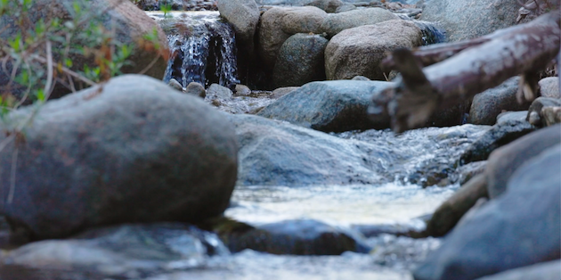 カリフォルニアの湧水