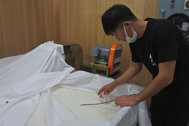 麹のチェックを行う松崎祐行さん