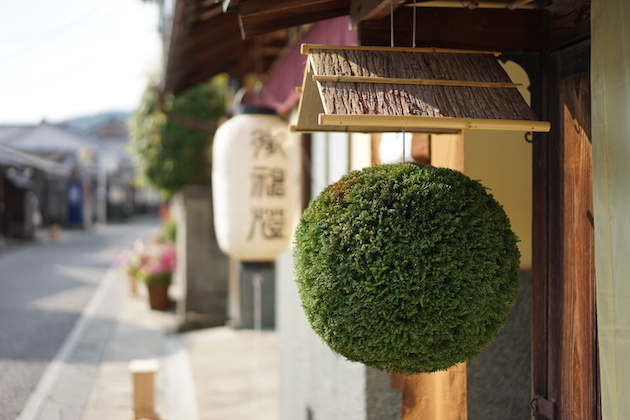 Ball-like object made of cedar which is hung by sake brewers outside a brewery's cemetery