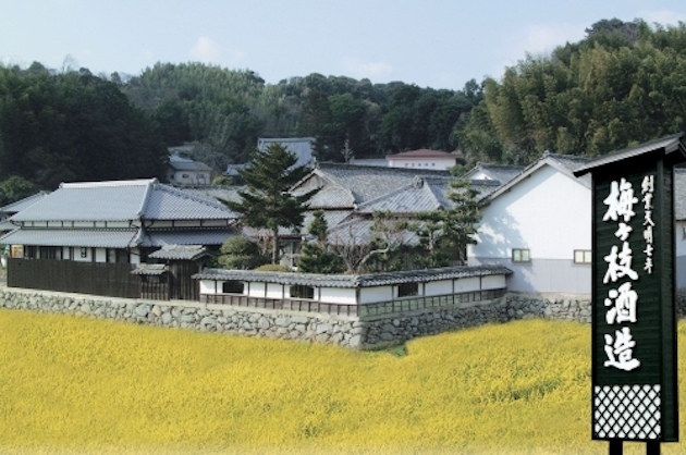 梅ヶ枝酒造外観