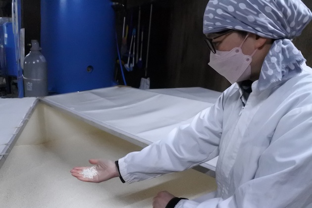 米をチェックする杜氏・辻麻衣子さん