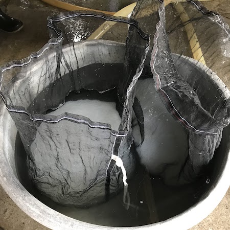 限定吸水の様子