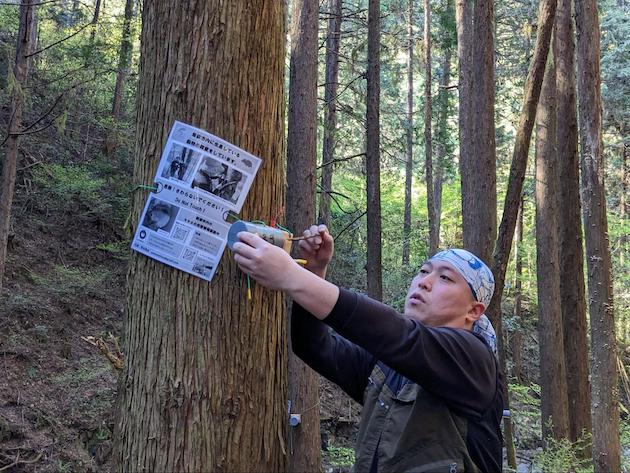 やまね調査用巣箱を点検する若林さん