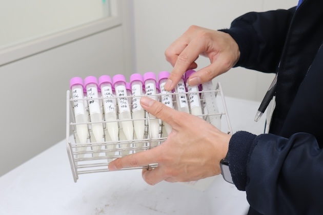 日付ごとにスピッツ管で保存されている酒母のサンプル