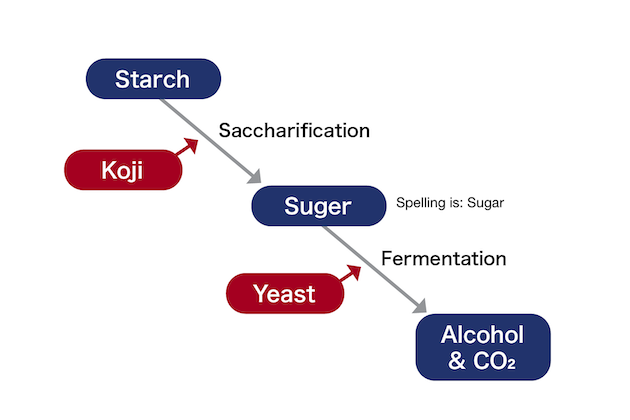 Fermentation process of sake