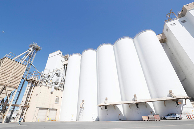 ISRIの玄米用貯蔵タンク