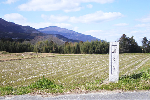 「風の森」の石碑