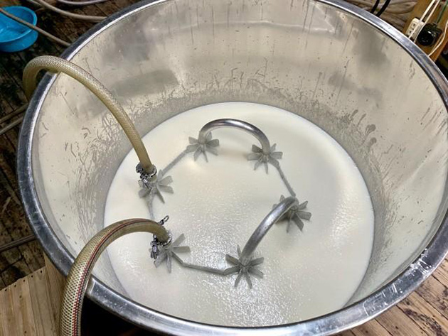 タンク内でもろみを冷やしている蛇管