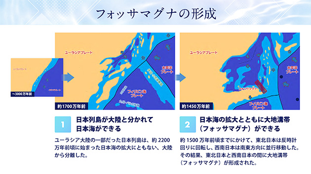 図1：地質の成り立ちから見ると、山梨県は4つの地域に区分することができる（画像提供：ダンク）