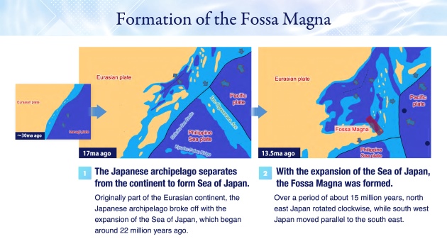 Figure 1: From the perspective of geological formation, Yamanashi Prefecture can be divided into four regions "Figure 1: From the perspective of geological formation, Yamanashi Prefecture can be divided into four regions"