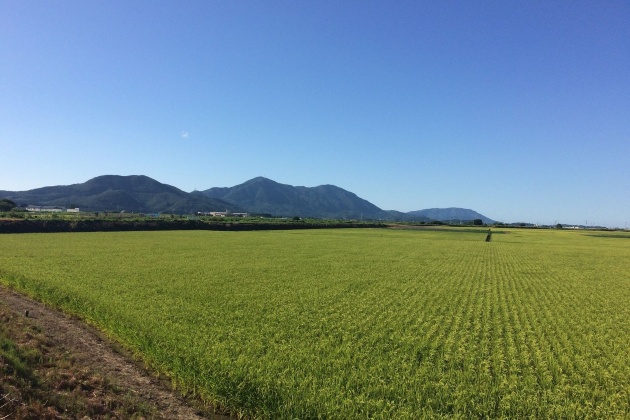 新潟県 越後平野と弥彦山脈、@bebehu