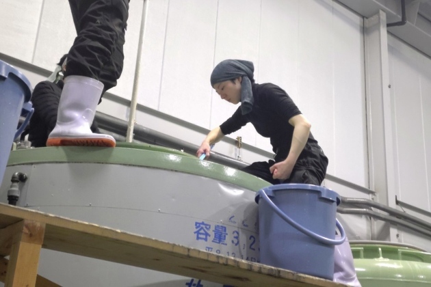 山崎合資会社での酒造りの様子