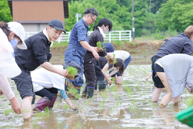 田植え作業をする人々の写真