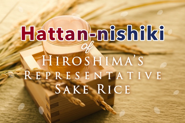 Genealogy of Hattan-nishiki: Lineage of Hiroshima's Representative Sake Rice