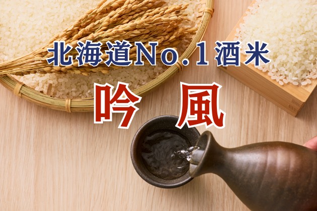 北海道ナンバーワン酒米「吟風」とは？ - 道外でも使われる高コスパな酒米の特徴、歴史、生産地を解説！