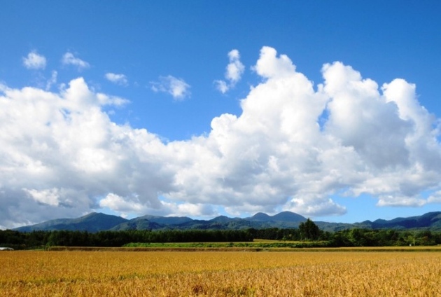 北海道新十津川町