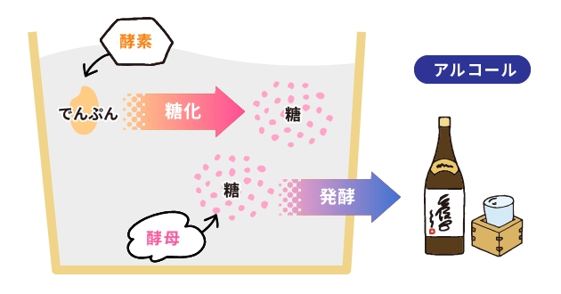 日本酒のアルコール発酵