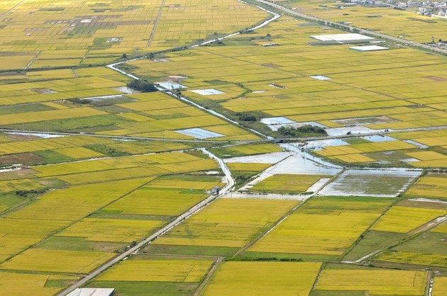 田園風景の写真