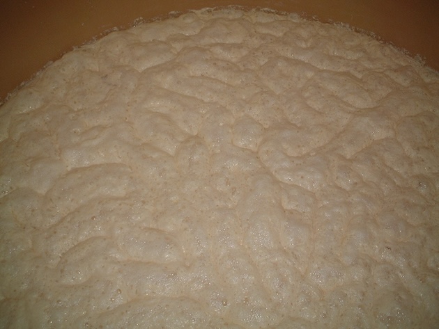 二段酵母の酒母