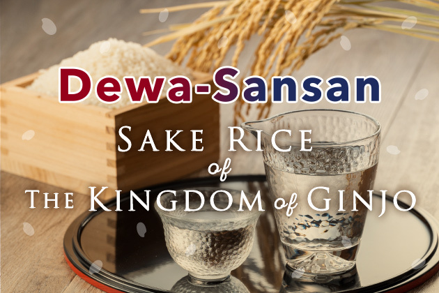 Genealogy of Dewa Sansan: Sake Rice that Supports Yamagata, the Kingdom of Ginjo