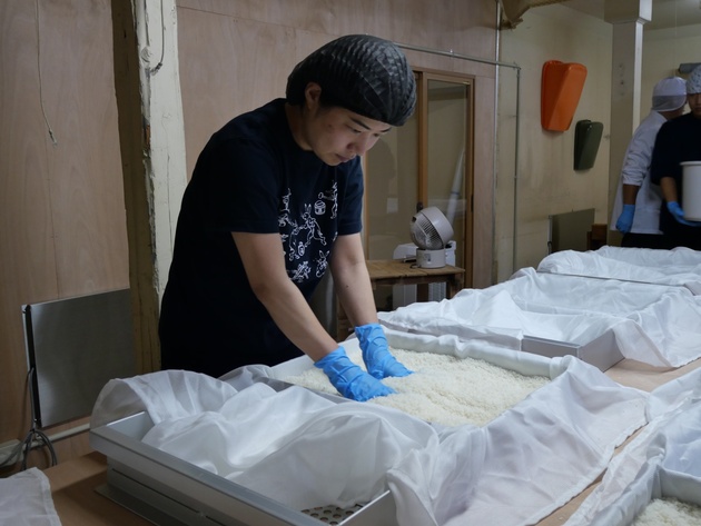 葵酒造代表・青木里沙さん