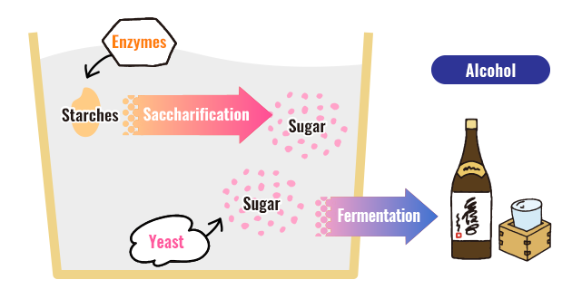 日本酒のアルコール発酵