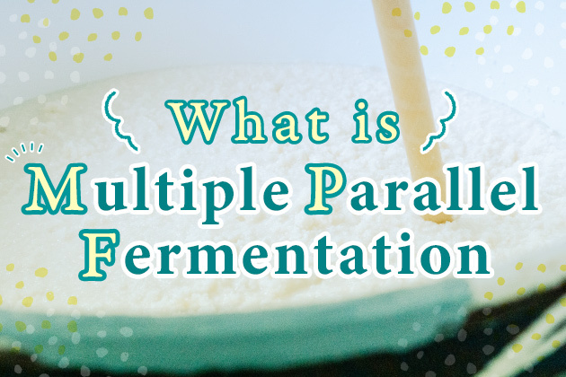 What is Multiple Parallel Fermentation? The Unique Fermentation Method that Defines Sake
