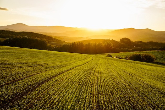 北海道 美瑛、©SHori、Licensed under CC BY 4.0※