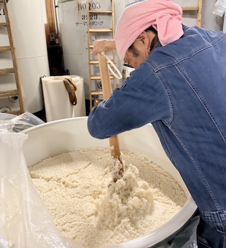 酒母に櫂入れをする様子