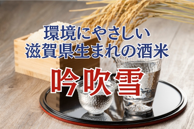 「吟吹雪」とは？ - 環境にやさしい滋賀県生まれの酒米の特徴・歴史を徹底解説！