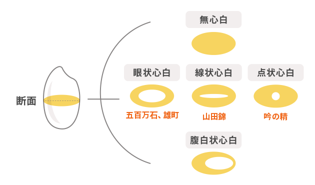 心白の種類