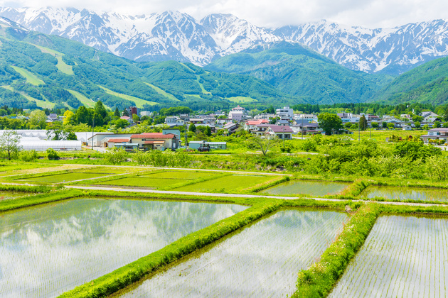 長野の田園風景イメージ画像