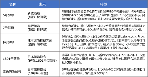 代表的な協会酵母とその特徴