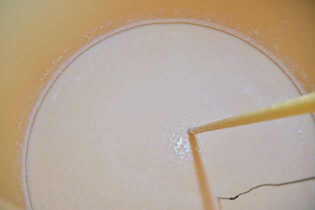 もろみのイメージ画像