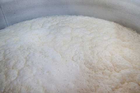酵母はすべて泡ありの7号酵母。発酵力旺盛