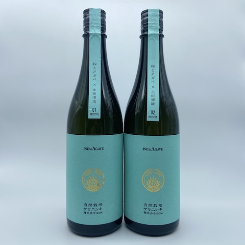 「稲とアガベ Prototype」01, 02の写真