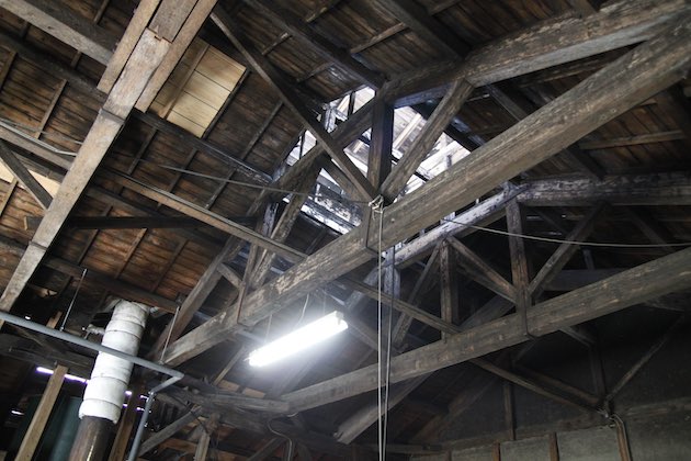 The fungus that creates Maibijin lives on walls and ceilings.