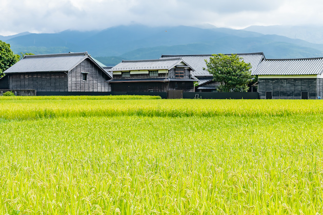 酒蔵の前に広がる田園風景